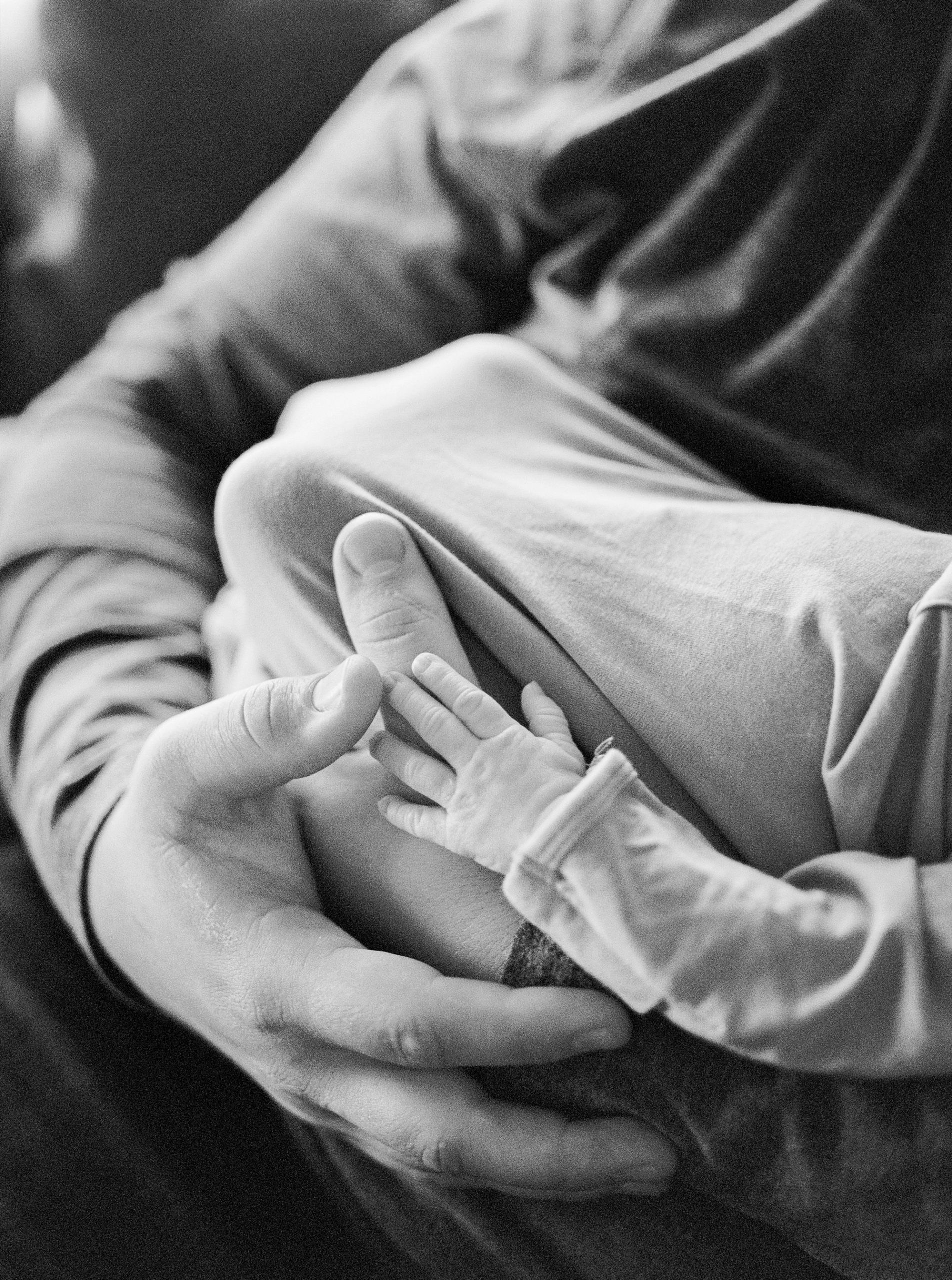 parents hold baby boy during lifestyle newborn photos