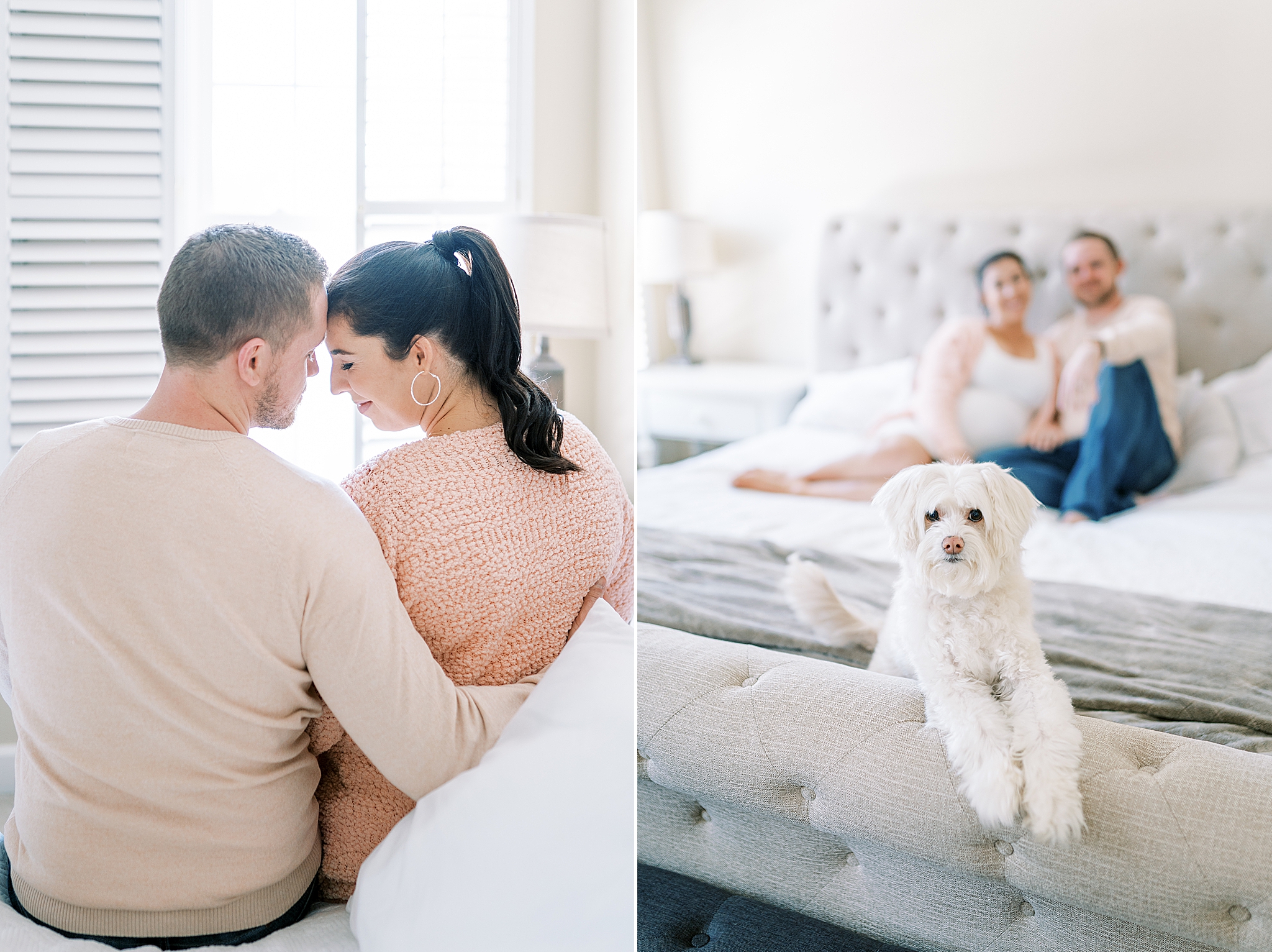 expecting parents sit on bed with dog during Murfreesboro lifestyle maternity session
