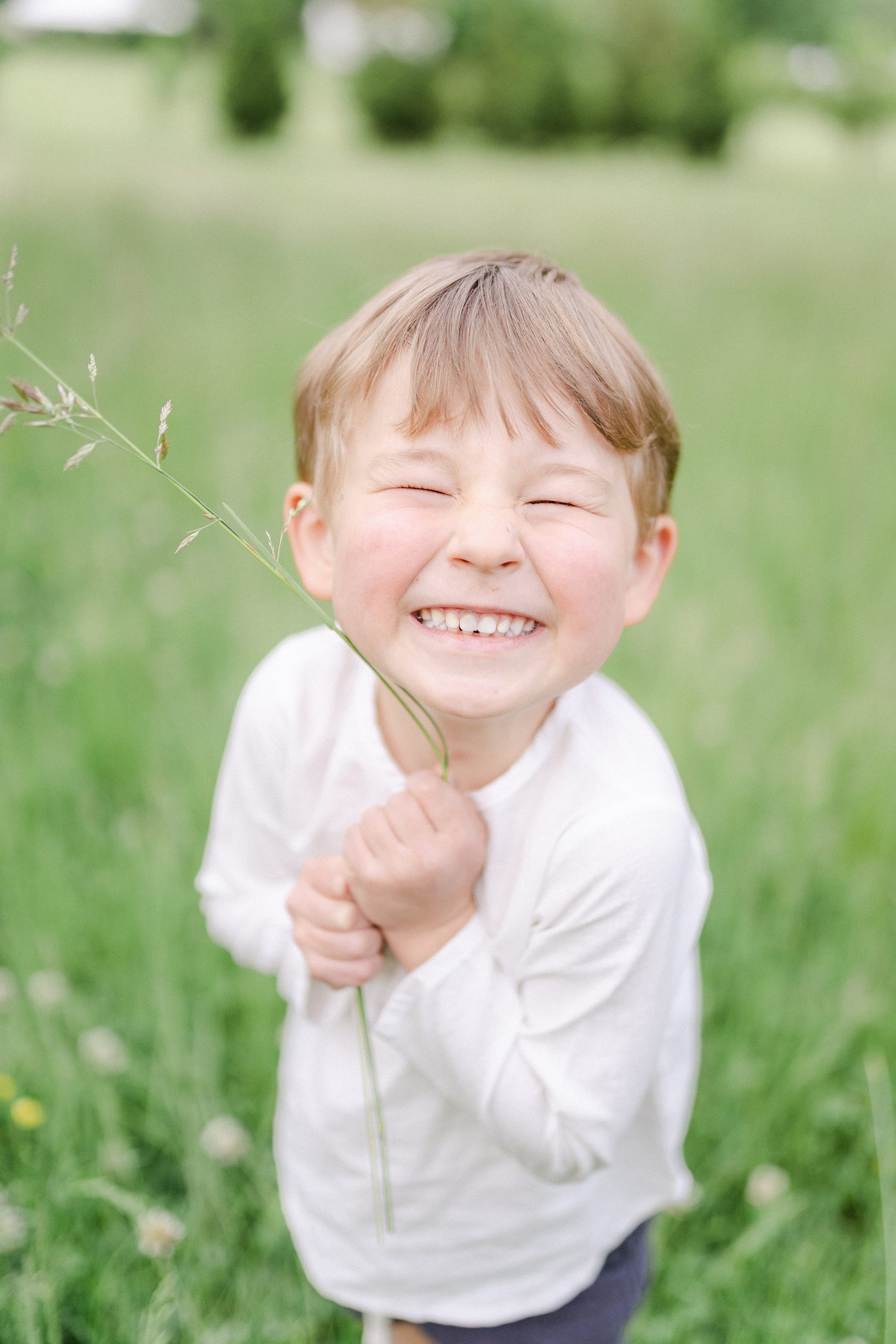 Little boy holding a flower in field of Brentwood TN