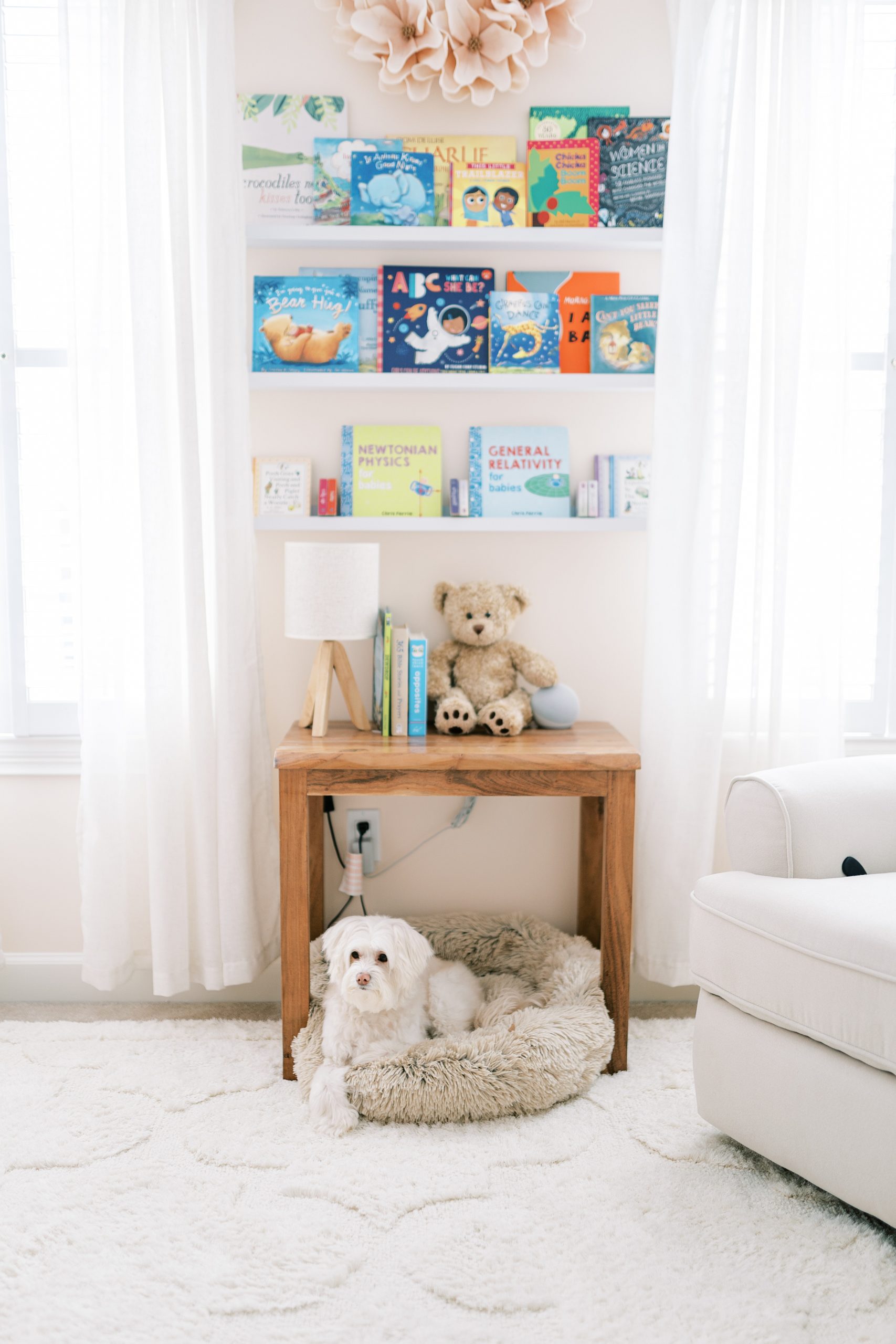 book shelf, table, and family dog in baby girl nursery featured in monthly spotlight