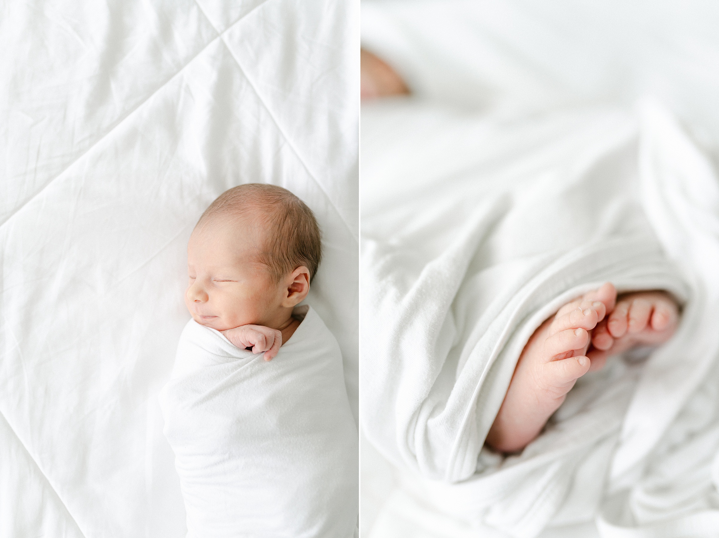 Baby boy newborn portraits